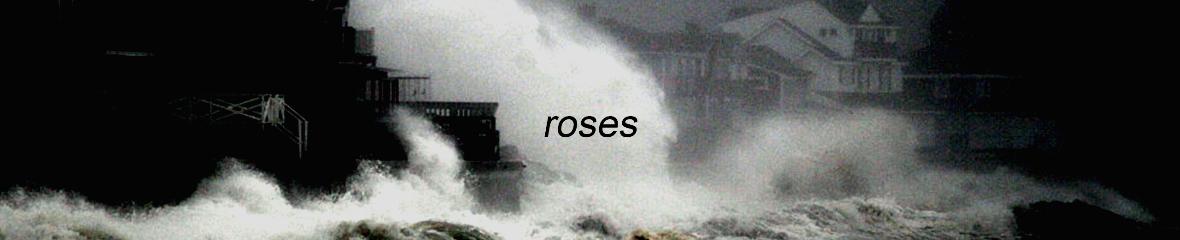 Traktrain banner for @roses