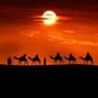 PROD.EXGKILLA - 🌍🔊 "Stepper" - Trap Beat with Arabic Vibe | Prod. by @EXGKILLA 🐪🎶