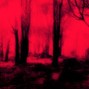 plax$y - inside the woods [ken carson x rich amiri]