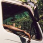 Wun - Road