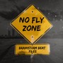 BrainStorm Beat Files  - Hip-Hop Type Beat - "No Fly Zone" | Trap Beat | Rap Instrumental 