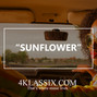 4Klassix - Sunflower