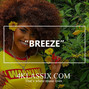 4Klassix - Breeze