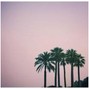 nfba.solid - P A L M T R E E S
