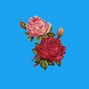 Flow Beats - Flowers 