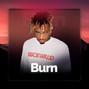 Inc. CVRNVTE - Burn - 50$ UNLIMITED | Juice WRLD x Post Malone Guitar Beat