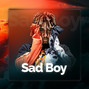 Inc. CVRNVTE - Sad Boy - Juice WRLD x Post Malone | Guitar Trap Beat