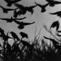 SEPTFREE - Raven's Cry