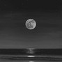 SEPTFREE - Grunge X Rock Type Beat "Only U"