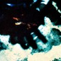 粹催粹催耀 - Memorandum