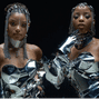 Black Wolf - Silver | Chloe x Halle Type Beat
