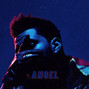 Black Wolf - Angel | The Weeknd x Travis Scott Type Beat