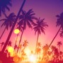 Black Wolf - Late Night In Miami | Chill Groovy Hip-Hop House Type Beat