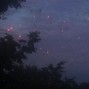 crier - IN THE STARS