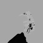 skizophrenic - unreasonable