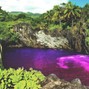 James Fresco  - GHOST ISLAND 