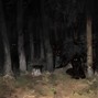 SLEWGOD - NOSEE