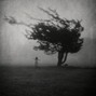 wisohayper -  dirt