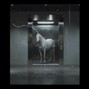 PALE1080 - MAN IN THE DARK