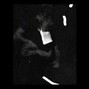PALE1080 - DREW A PICASSO | BUY 2 GET 1 FREE
