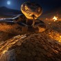 Beats By Nate - Snake Music