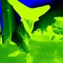 800 moak - DANCE/SKATE BEAT