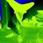 800 moak - dance beat-how we feel tonight