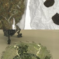 papicum