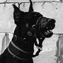 CODE.441 - Mystery - $50 UNLIMITED