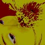 schmarly - ily 