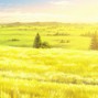 br4do - serene_125bpm_br4do_wav