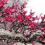 unknowninstrumentalz - BLOSSOM • Iann Dior Chinese Type Beat