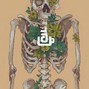 unknowninstrumentalz - YOUNG THUG ACOUSTIC GUITAR TYPE BEAT "BONES" 