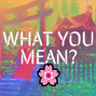 unknowninstrumentalz - ⚪ Hard Asian Drake Trap Beat \"What You Mean?\" 🌸