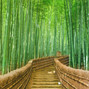 unknowninstrumentalz - 🔵 Chinese Oriental Flute Type Beat \"Bamboo\" 🎋