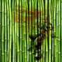 MaztotheUla - Bamboo