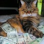 24KARATKING - 24K A DAY