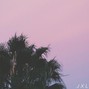 JXL - xenon