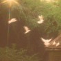In Bloom - paper planes | i don't like mirrors type beat