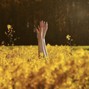 In Bloom - breathing | Bon Iver x Indie Folk Type Beat