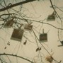 In Bloom - whispers in the wind | Indie Folk Acoustic Type Beat