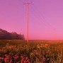 In Bloom - BTW | Indie Rock Type Beat
