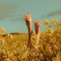 In Bloom - Hallucinations | Indie Rock Type Beat