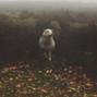 In Bloom - sleepwalk | Alternative x Indie Folk Type Beat