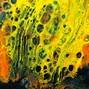 Manthan nagar - BURNT BONE 