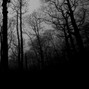 notastudios.pgh - Midnight