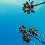 Rebbel - Summer (House, Pop, David Guetta)