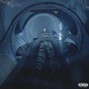 InBloom - TY