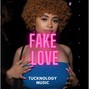 tucknologymusic - Fake Love (Ice Spice type beat) (Bflat minor)