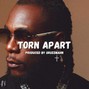 gruzzmahn - '24 AFRO SOUL BEAT~ TORN APART